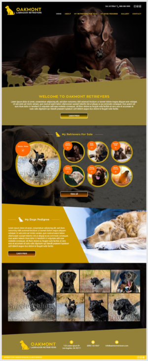 Web-Design von -Marc- für dieses Projekt | Design: #16529773