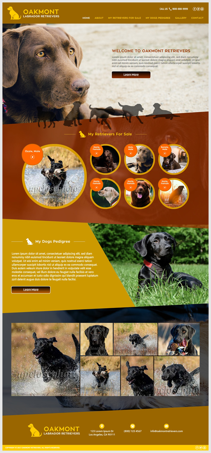 Web Design by -Marc- for this project | Design #16530242