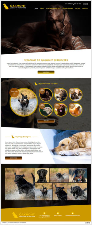 Oakmont Retreivers - Stud Dogs | Web Design by -Marc-