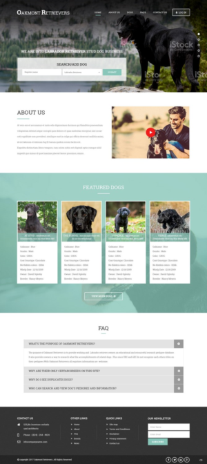 Diseño Web por pb para este proyecto | Diseño: #16449958