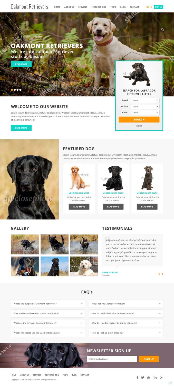 Web Design by pb for this project | Design #16449959