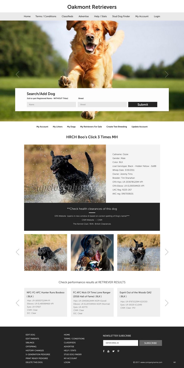 Web Design by pb for this project | Design #16449960