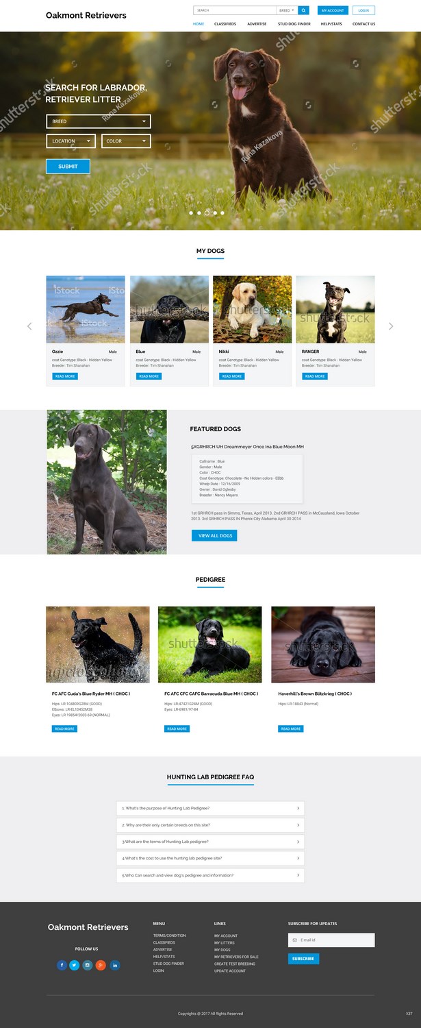 Web Design by pb for this project | Design #16449967