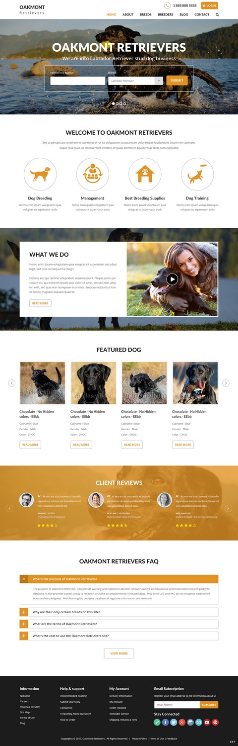 Web Design by pb for this project | Design #16449975