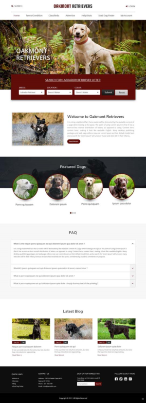 Diseño Web por pb para este proyecto | Diseño: #16449976