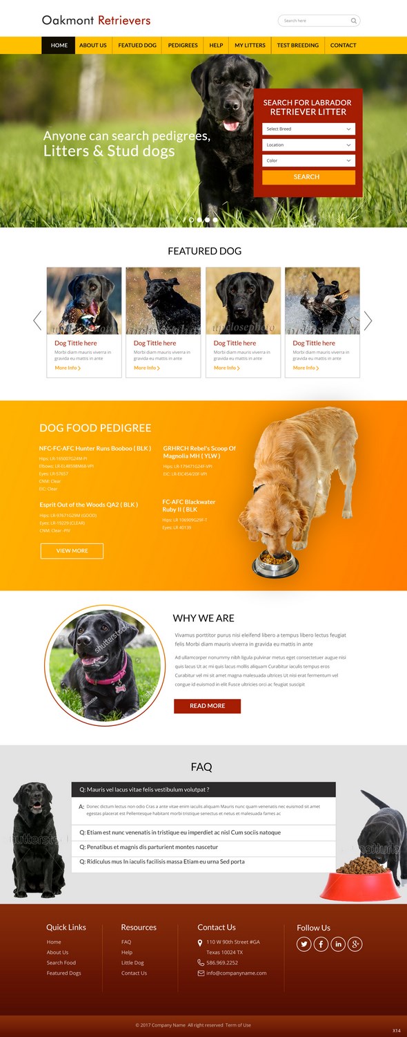 Web Design by pb for this project | Design #16449977