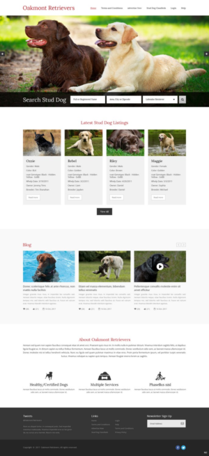 Diseño Web por pb para este proyecto | Diseño: #16449979