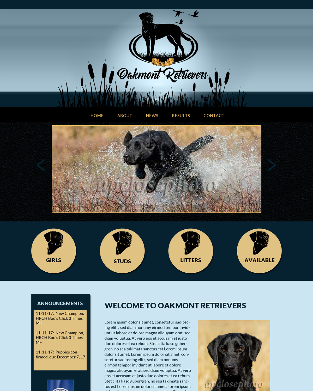 Diseño Web por borzoid para este proyecto | Diseño: #16501045