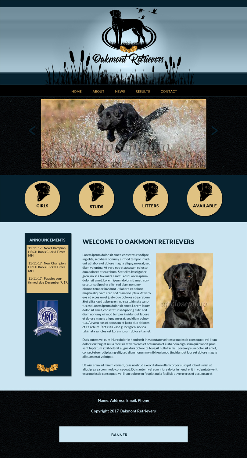 Web Design by borzoid for this project | Design #16501046