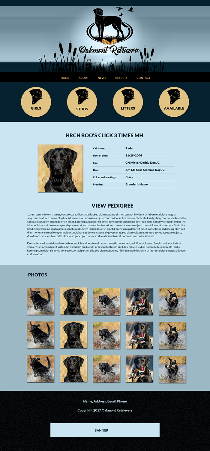 Web Design by borzoid for this project | Design #16505870