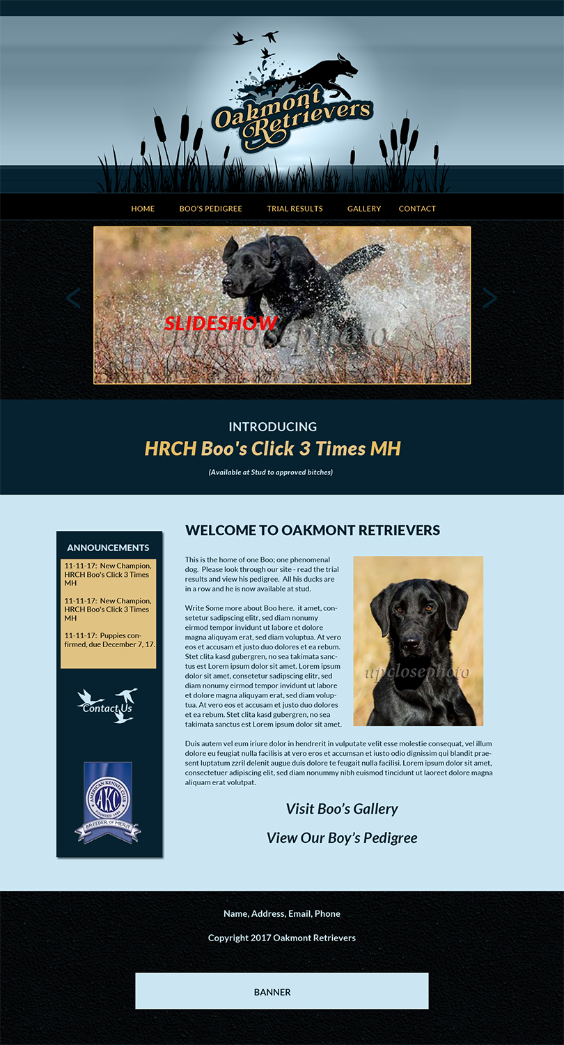 Web Design by borzoid for this project | Design #16535564