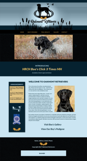 Oakmont Retreivers - Stud Dogs | Web Design by borzoid