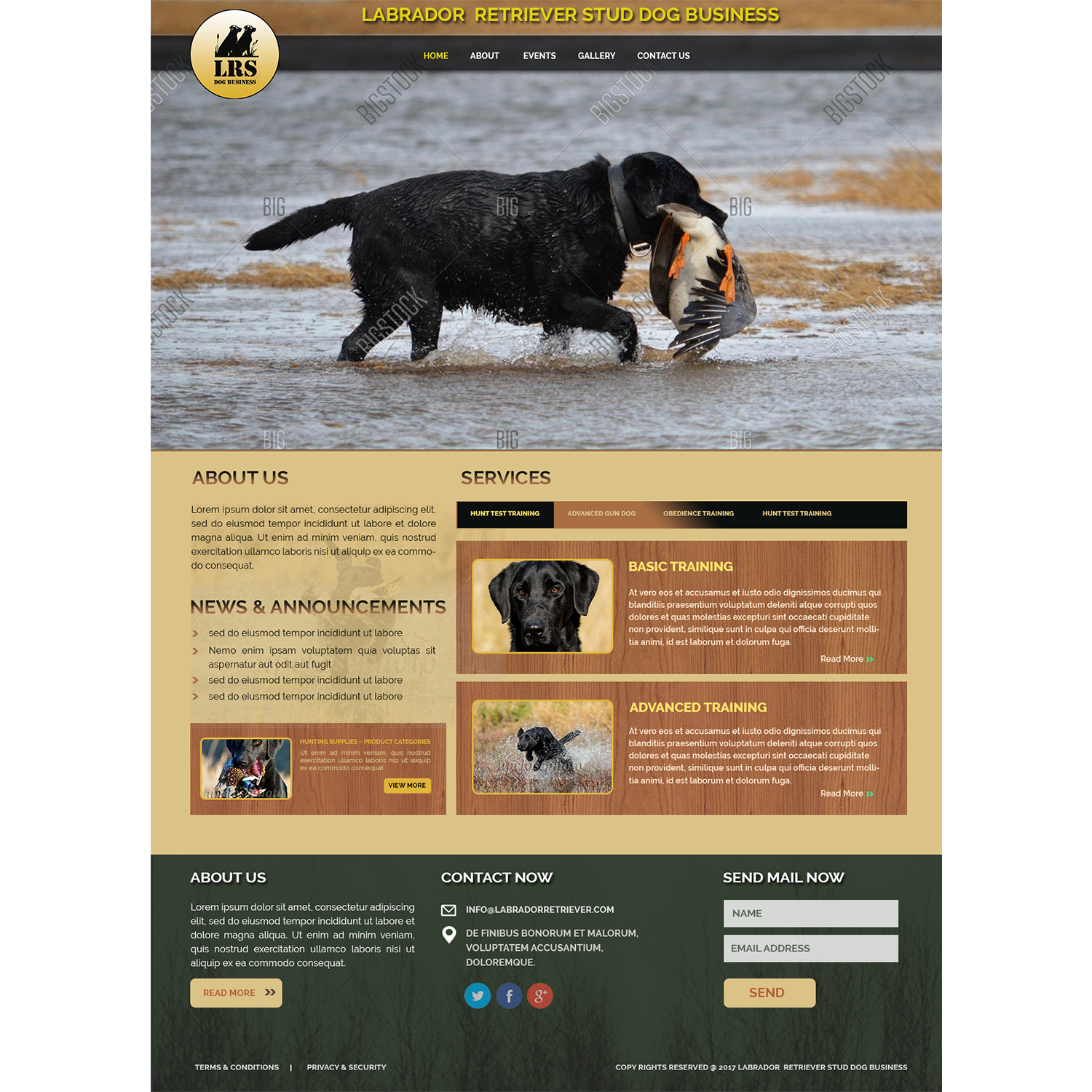 Web Design by Vamshi Pitta for this project | Design #16533560