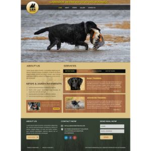 Web Design by Vamshi Pitta for this project | Design #16533560