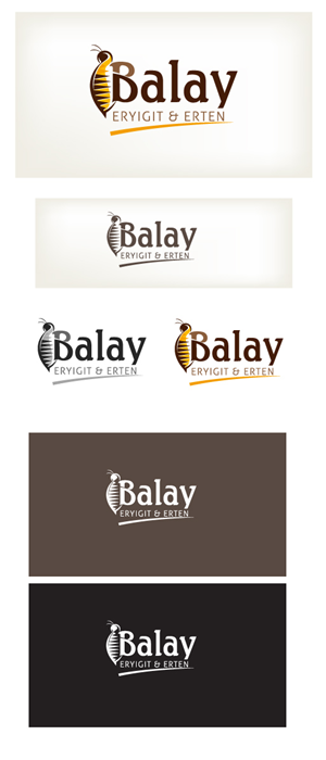 Logo Design by mouallem zoheir
