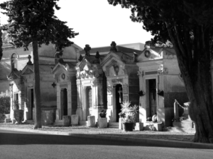 Photography by Fibule