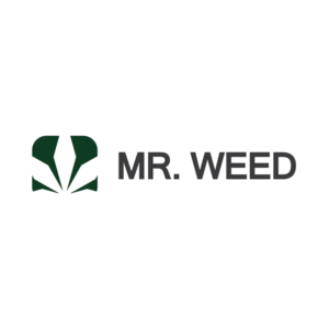 Logo Design by guy398