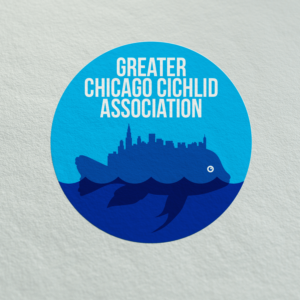 Logo Design by Eko Pambudi for Greater Chicago Cichlid Association | Design: #16463918
