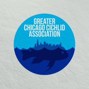 Logo Design by Eko Pambudi for Greater Chicago Cichlid Association | Design: #16464417
