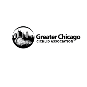 Logo Design by kinan3 for Greater Chicago Cichlid Association | Design: #16461179