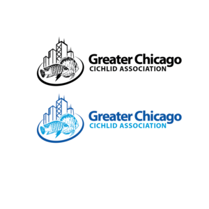 Logo Design by kinan3 for Greater Chicago Cichlid Association | Design #16508957