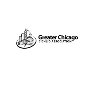 Logo Design by kinan3 for Greater Chicago Cichlid Association | Design: #16634280