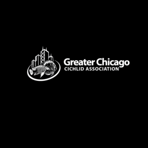 Logo Design by kinan3 for Greater Chicago Cichlid Association | Design: #16634281