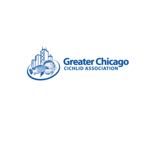 Logo Design by kinan3 for Greater Chicago Cichlid Association | Design: #16634282