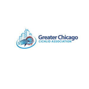 Logo Design by kinan3 for Greater Chicago Cichlid Association | Design: #16634283