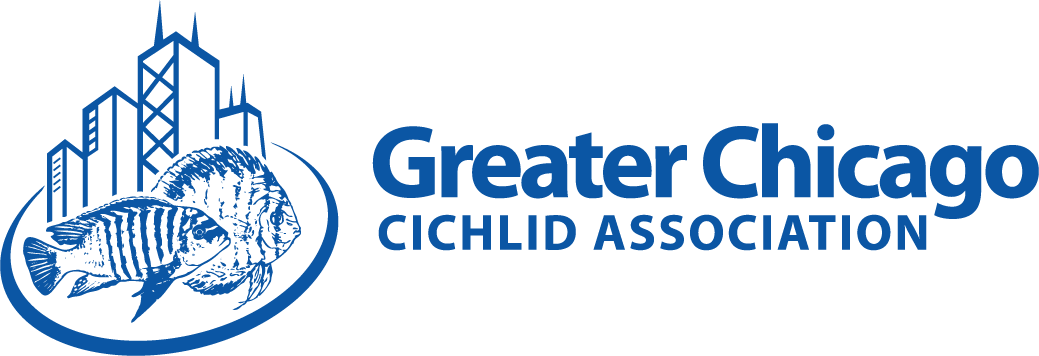Logo Design by kinan3 for Greater Chicago Cichlid Association | Design #16634777