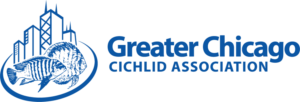 Logo Design by kinan3 for Greater Chicago Cichlid Association | Design: #16634777
