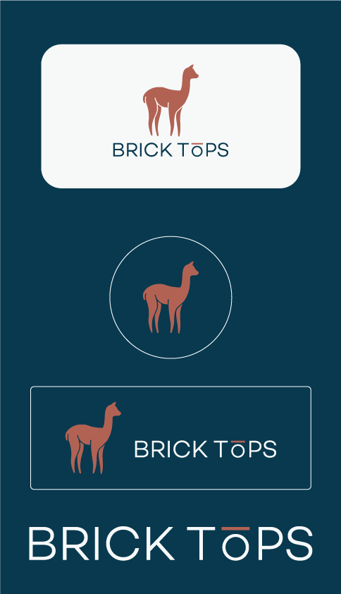 Logo Design by raigraphics for Brick Tops | Design #16513411