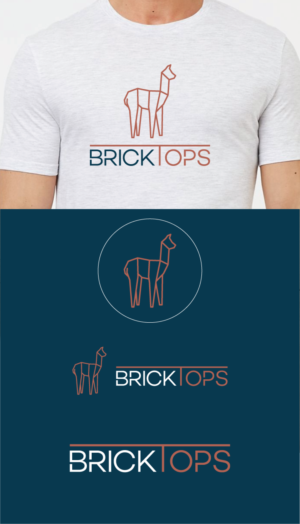 Logo-Design von raigraphics für Brick Tops | Design: #16513828