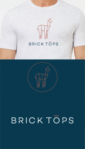 Logo-Design von raigraphics für Brick Tops | Design: #16514256