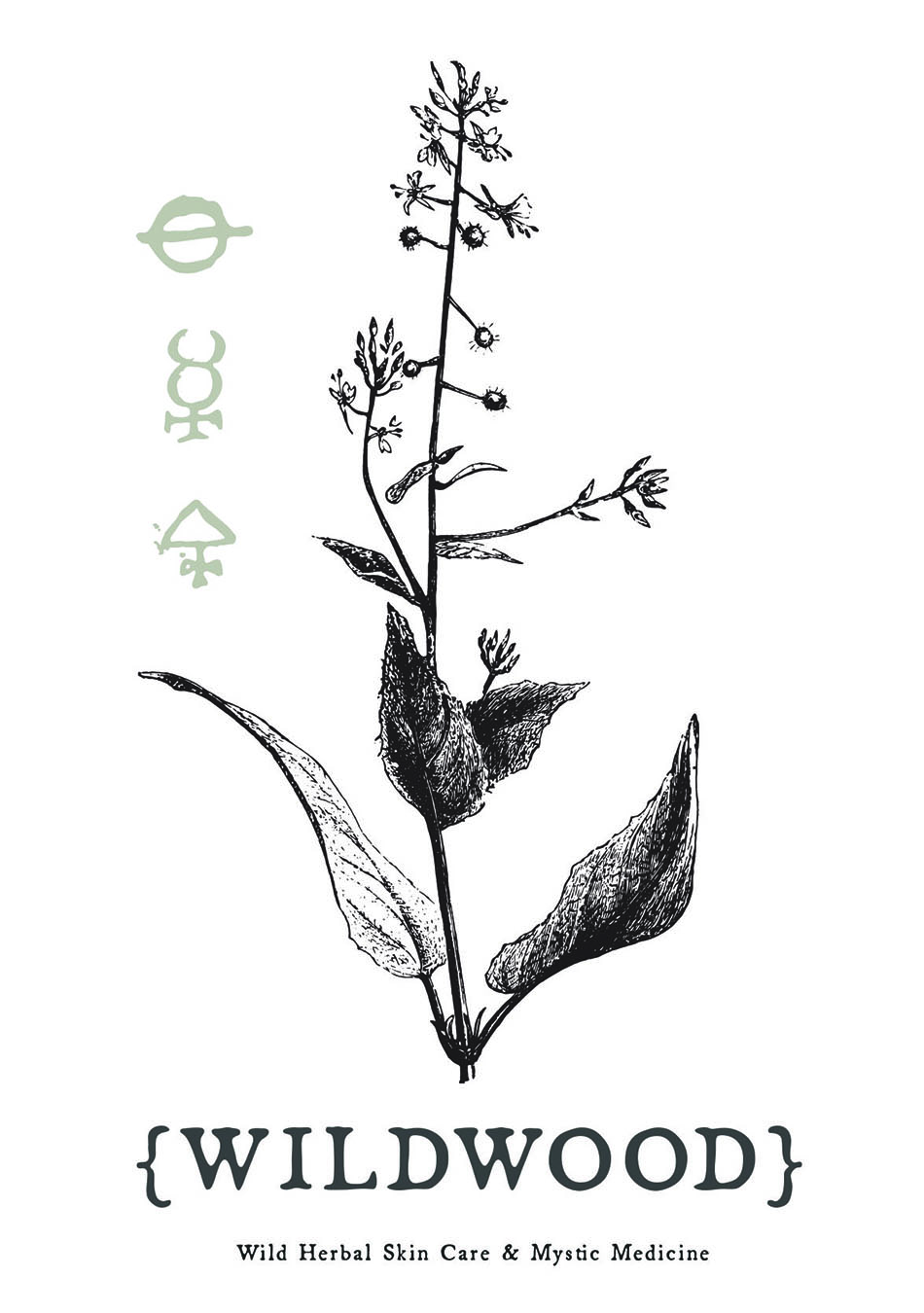 Logo Design by megancostill for this project | Design #16621222
