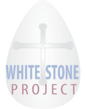 Logo Design by Shashinda Eshan