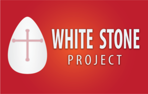 Diseño de Logo por Shashinda Eshan para White Stone Project | Diseño: #16627160