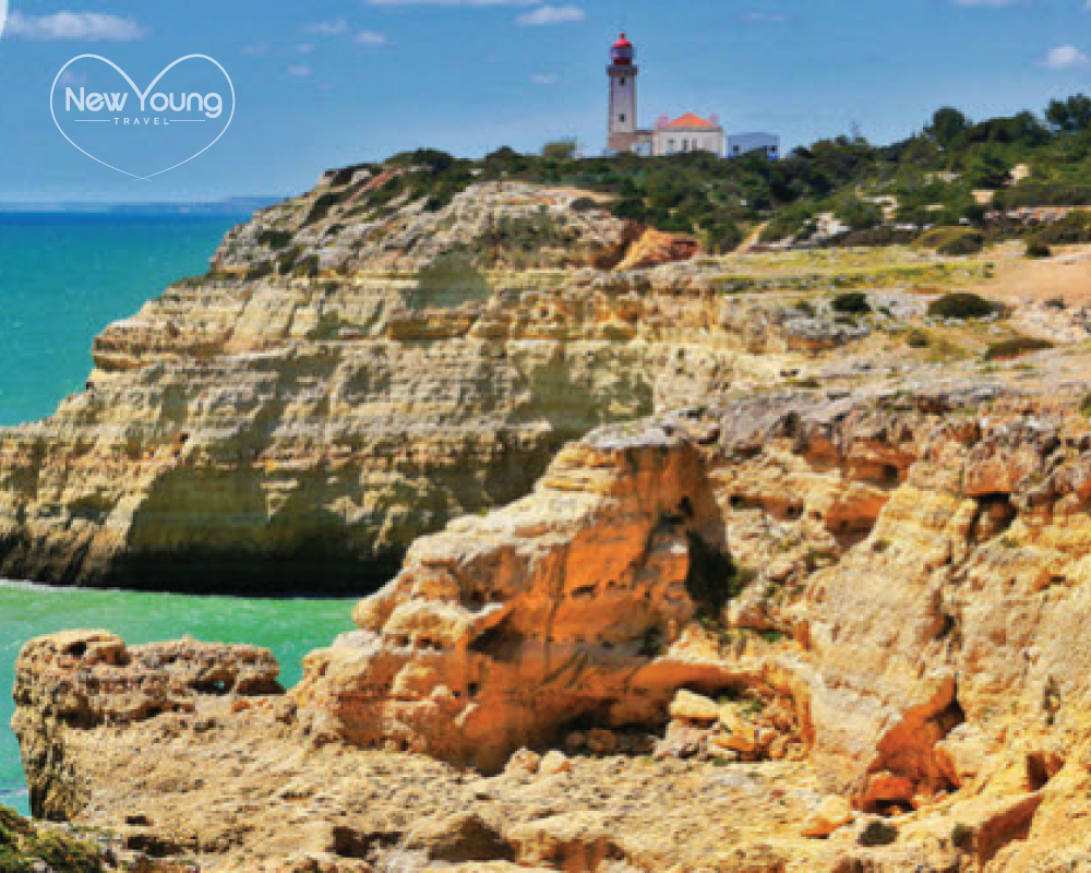 Logo Design by A S design @ for Bronwyn White | Design #16480574