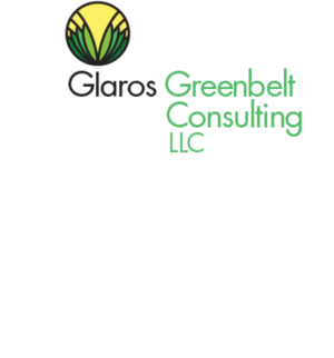Logo Design by hansi