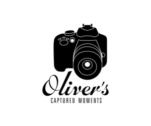 Logo Design by bojboga