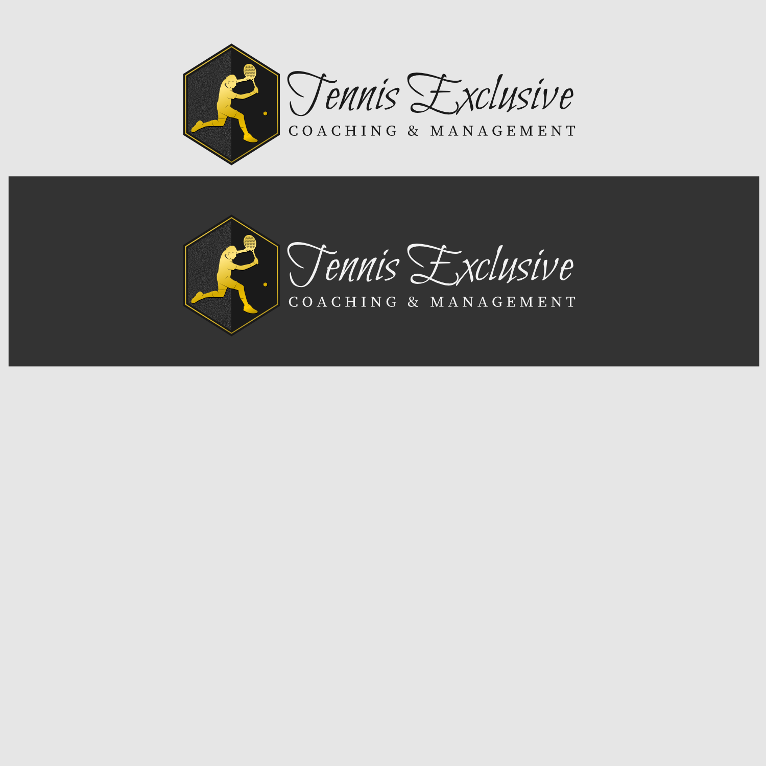 Logo Design by technoinspire for Tennis Exclusive | Design #16535473