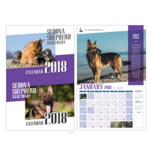 Monthly Wall Calendar for German shepherd Rescue | Print Design by eleven