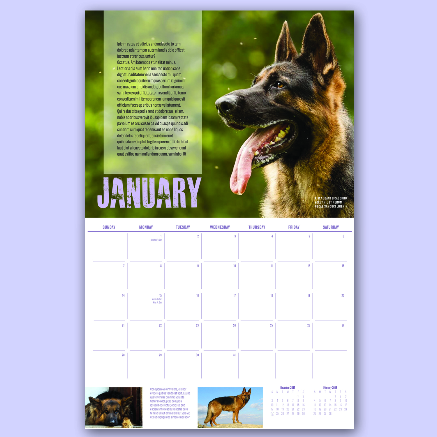Print Design by iD_intelligentDesign for Sedona Shepherd Sanctuary | Design #16565291