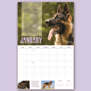 Print Design by iD_intelligentDesign