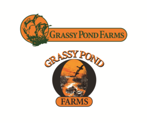 Logo Design by Hot Rod