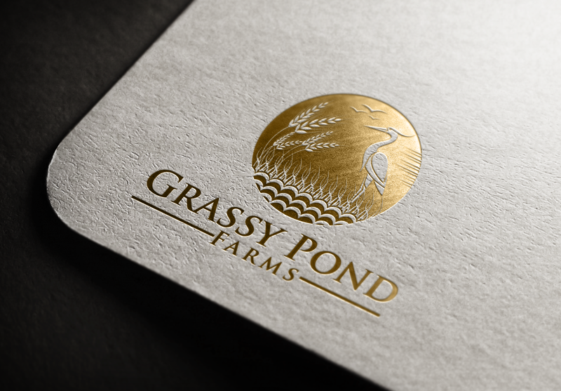 Logo Design by logoboss 3 for this project | Design #16503368