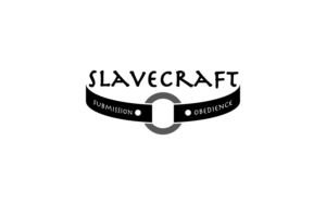 Logo-Design von Radu Borzea für Vimagery | Design: #16489727