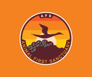 Logo Design by mediasafi