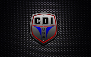 CDI USA | Logo Design by edge design