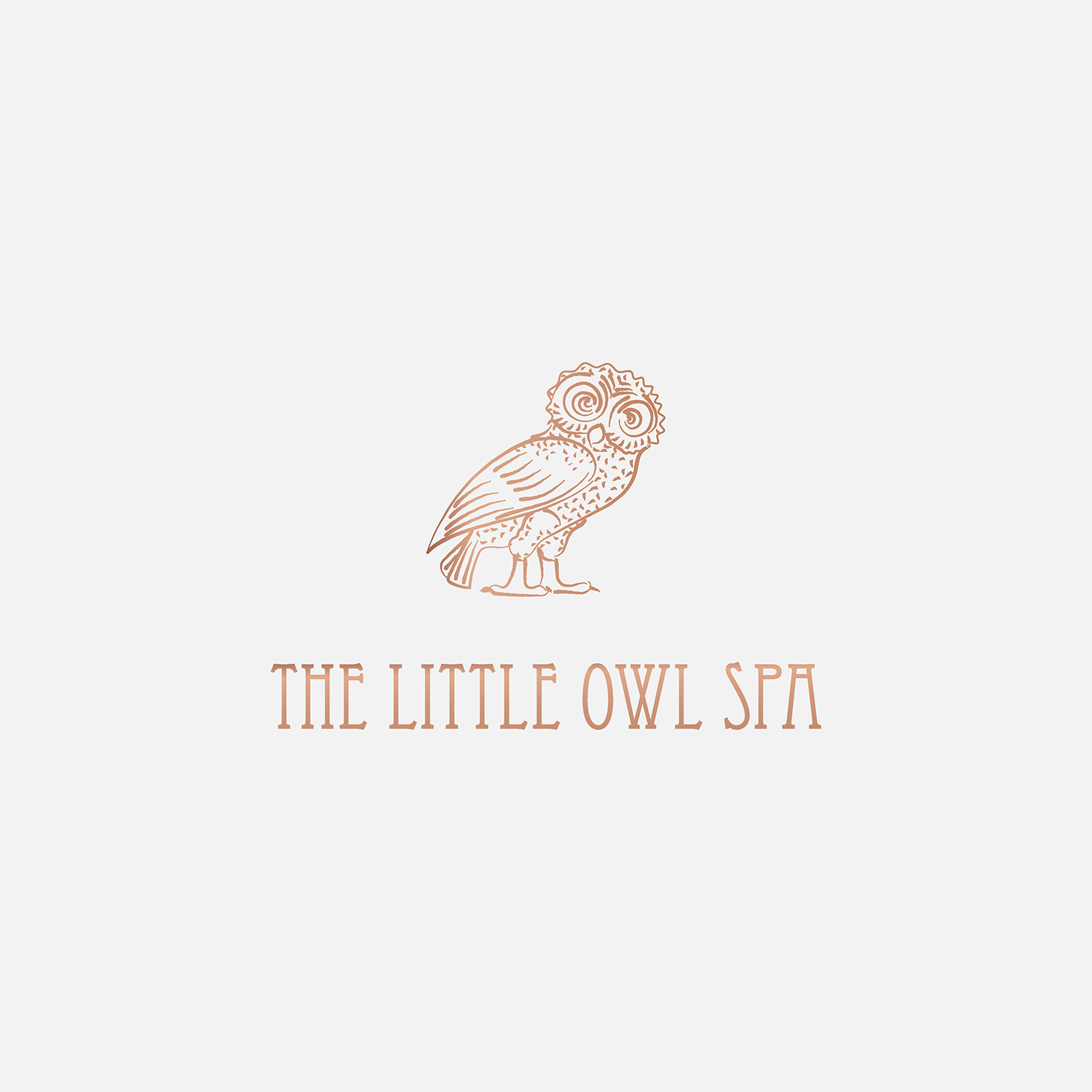 Logo Design by LaVitaBella67 for The Little Owl Spa | Design #16561893